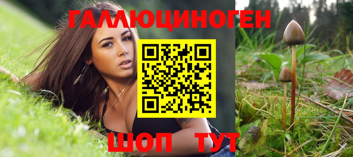 Псилоцибиновые грибы GOLDEN TEACHER  Галлюциногенные грибы ЛСД  Вольск  Вход с VPN 