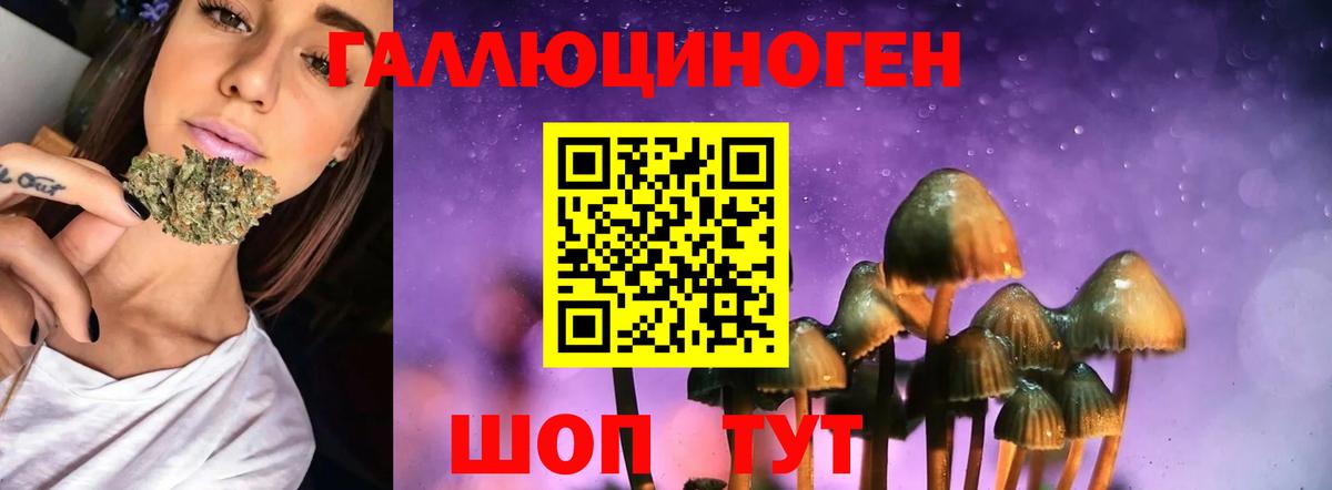 Псилоцибиновые грибы Magic Shrooms Вольск
